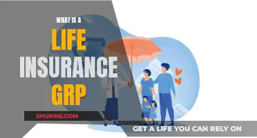 Life Insurance Groups: What You Need to Know