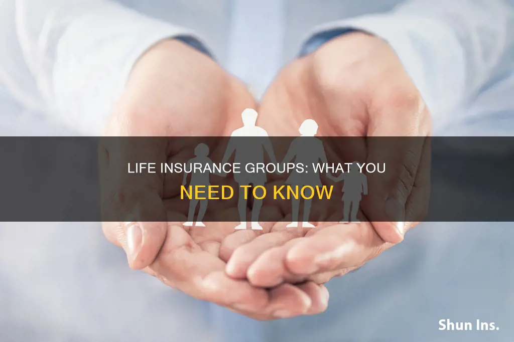 what is a life insurance grp