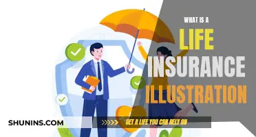 Understanding Life Insurance Illustrations: A Beginner's Guide