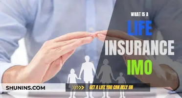 Life Insurance IMO: Understanding the Basics