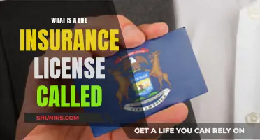 Understanding the Life Insurance License: What You Need to Know