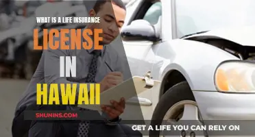 Hawaii Life Insurance License: What You Need to Know