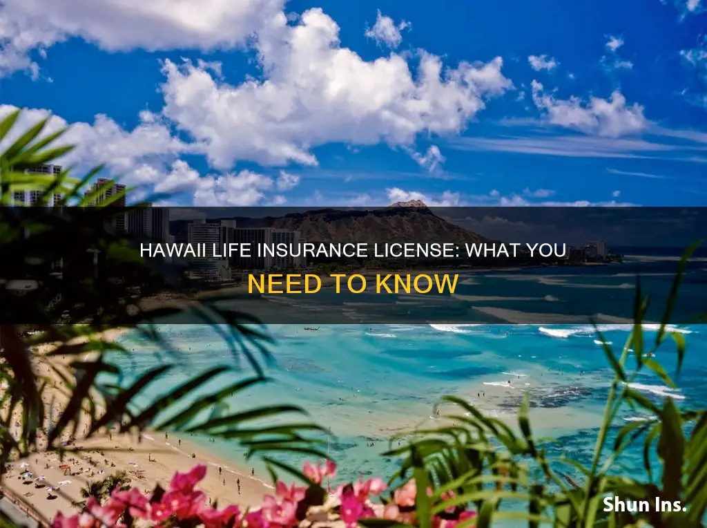 what is a life insurance license in hawaii