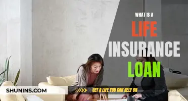 Life Insurance Loans: Borrowing Against Your Policy