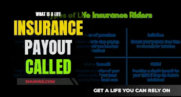 Understanding Life Insurance: Payouts and Procedures