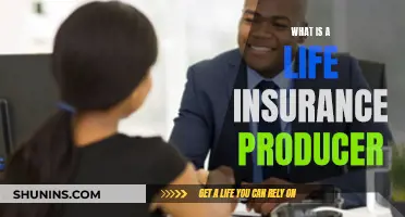 Who Is a Life Insurance Producer and Why You Need One