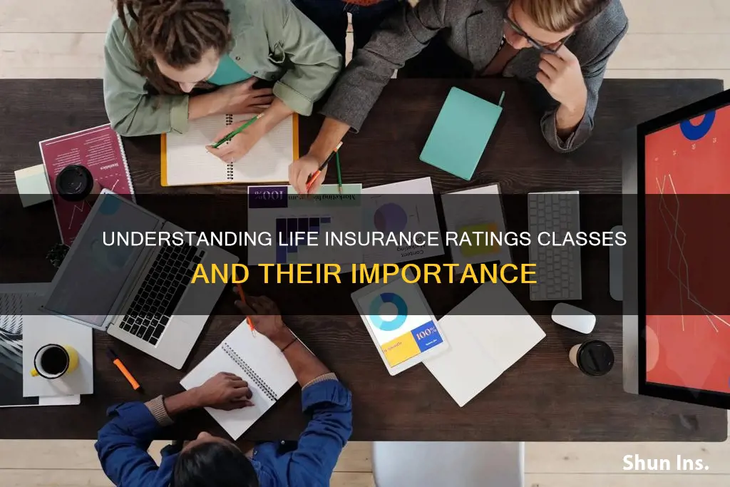 what is a life insurance ratings class