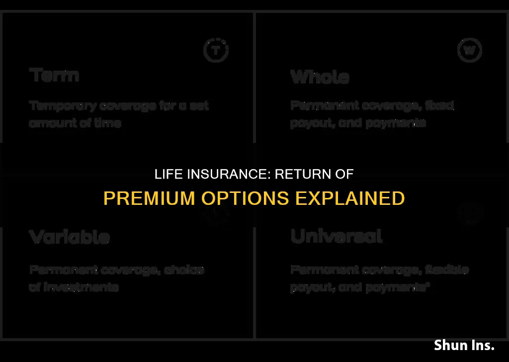 what is a life insurance return of account option