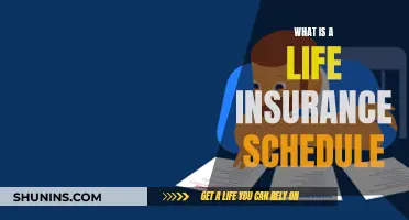 Understanding Your Life Insurance Schedule: A Quick Guide