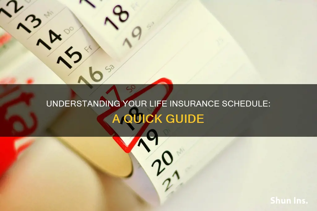 what is a life insurance schedule