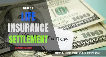 Life Insurance Settlements: Understanding the Basics