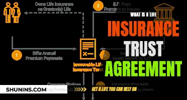 Life Insurance Trust Agreements: What You Need to Know