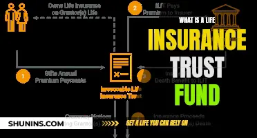 Life Insurance Trust Funds: What You Need to Know