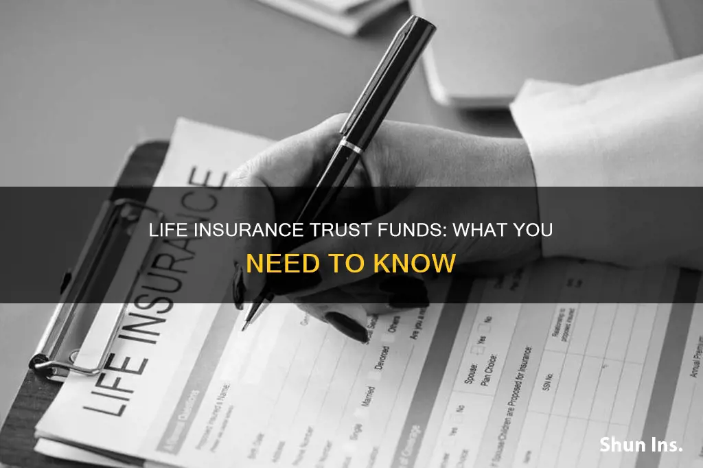 what is a life insurance trust fund