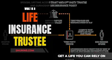 Understanding Life Insurance Trustee Roles and Responsibilities