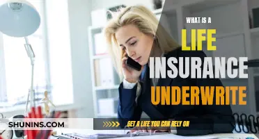 Understanding Life Insurance Underwriting: The Process Explained