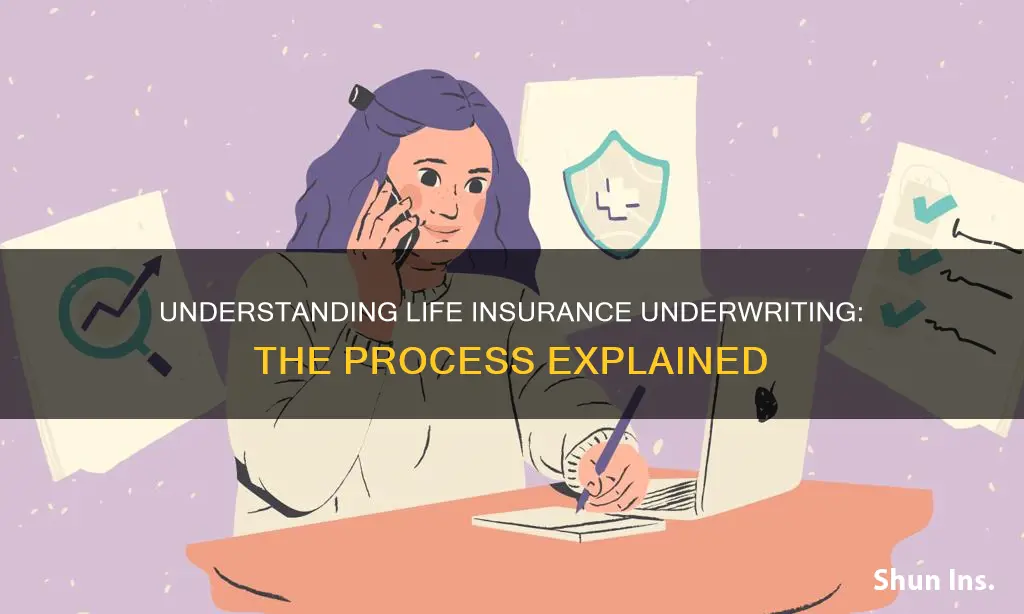 what is a life insurance underwrite