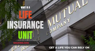 Understanding Life Insurance Units: How They Work