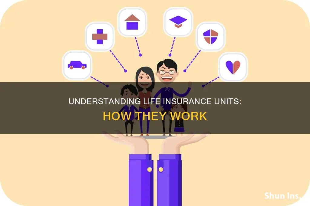 what is a life insurance unit