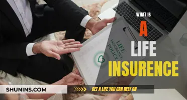 Life Insurance: What You Need to Know