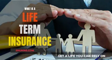 Life Term Insurance: What You Need to Know