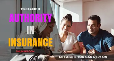 Understanding the Line of Authority in Insurance: Key Roles and Responsibilities