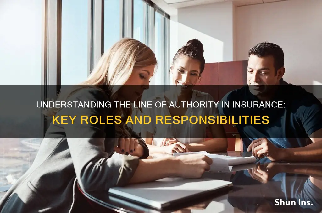 what is a line of authority in insurance