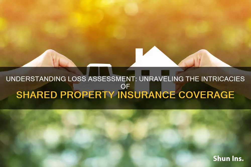 what is a loss assessment in insurance terms