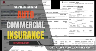 Understanding Auto Commercial Insurance Loss Runs