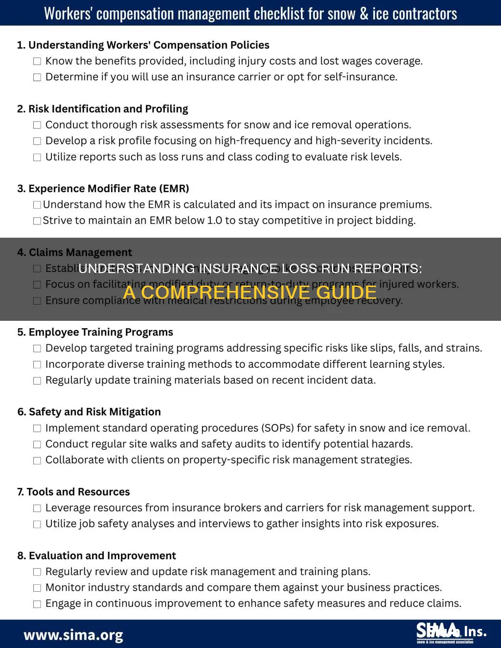 what is a loss run report for insurance
