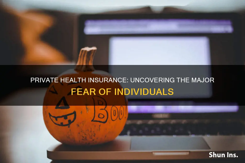 what is a major individual fear of private health insurance