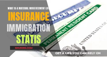 Life Insurance, Immigration Status, and Material Misstatement