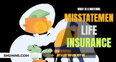 Life Insurance: Misstatement Materiality and Its Impact