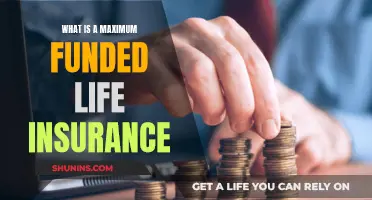 Maximizing Life Insurance: Funding Your Future