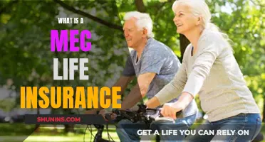 Understanding MEC Life Insurance: What You Need to Know