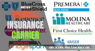 Understanding Medical Insurance Carriers: Who They Are and What They Do