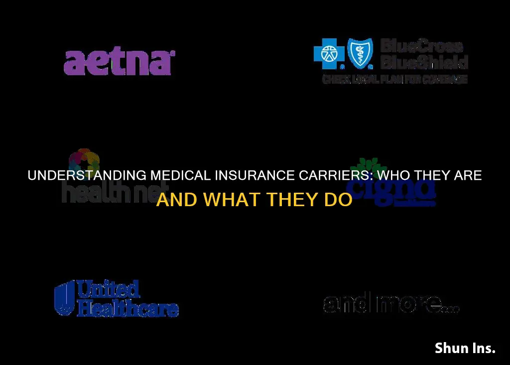 what is a medical insurance carrier