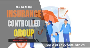 Understanding Medical Insurance: Controlled Group Rules