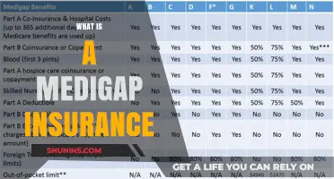 Understanding Medigap Insurance: A Comprehensive Guide to Supplemental Coverage