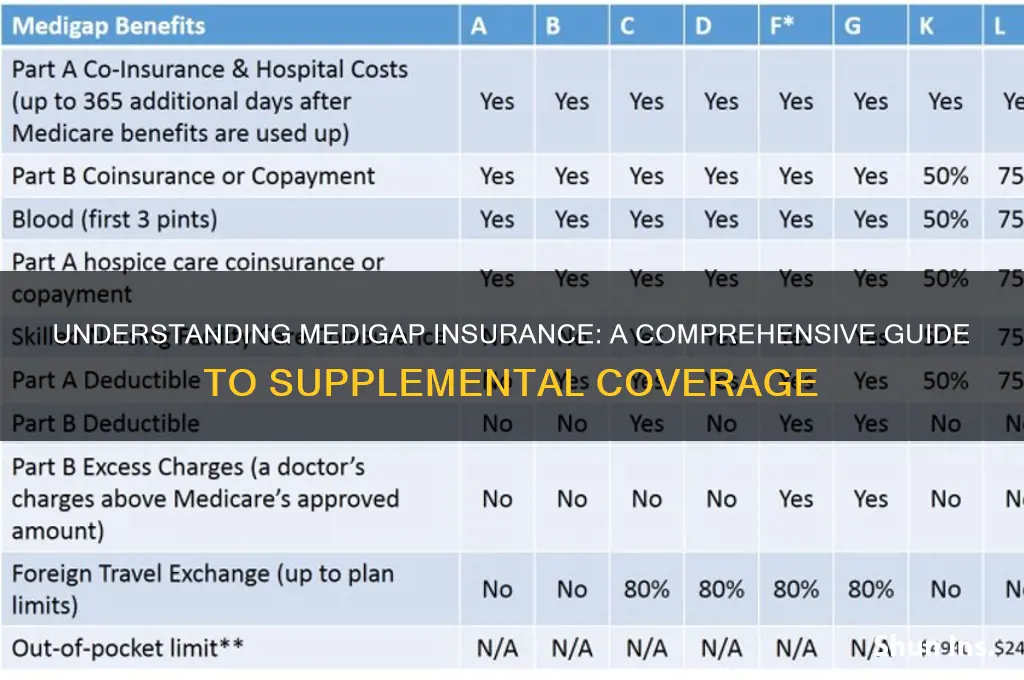 what is a medigap insurance