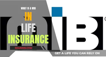 MIB in Life Insurance: What You Need to Know