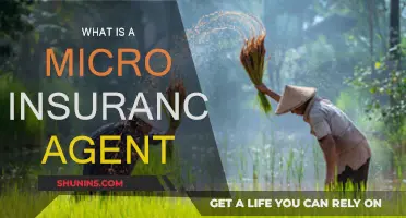 Micro Insurance Agent: Small-Scale, Big Impact