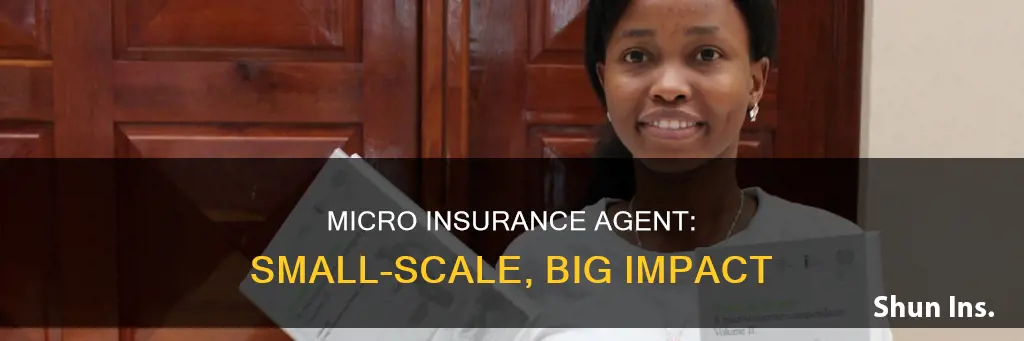 what is a micro insurance agent