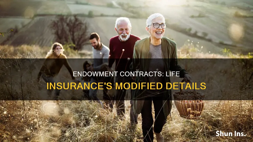 what is a modified endowment contract in life insurance