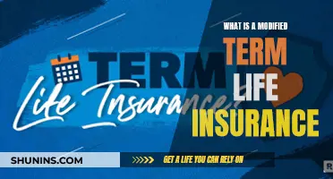 Term Life Insurance: Modified for Your Needs