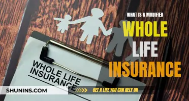 Whole Life Insurance: Modified Policies Explained