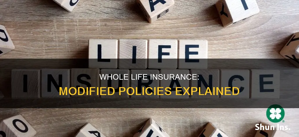 what is a modified whole life insurance