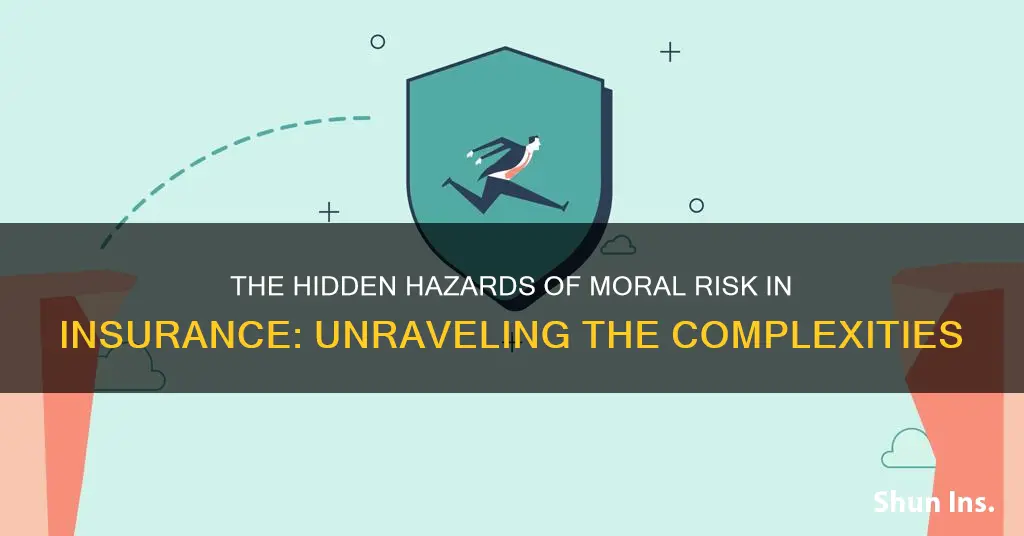 what is a moral hazard in insurance terms