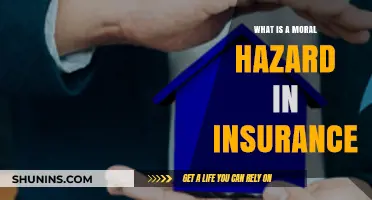 Understanding Moral Hazard: Risks and Implications in Insurance Policies