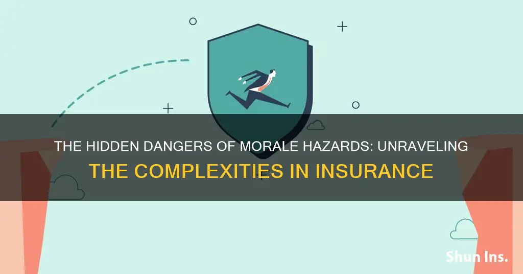 what is a morale hazard in insurance terms